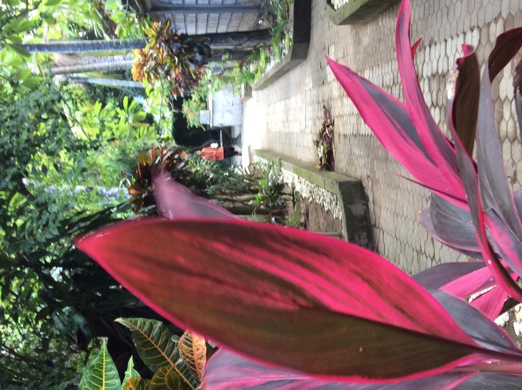Bali Guest Villas Legian  Bagian luar foto